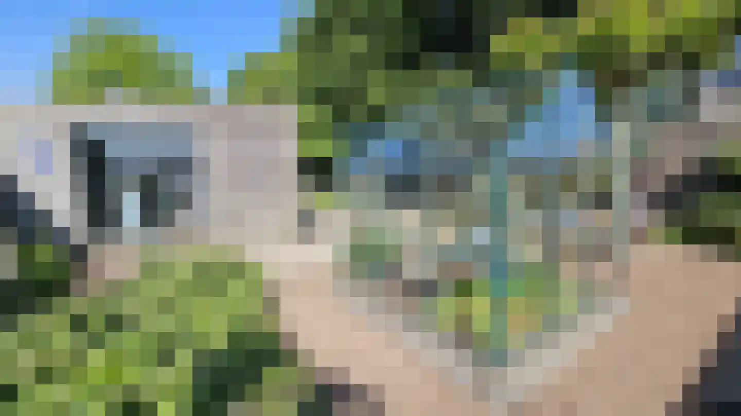 Zuideinde 190 Westzaan thumbnail 75