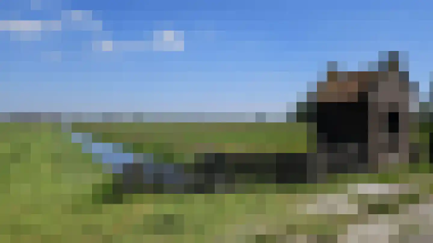 Zuideinde 190 Westzaan thumbnail 77