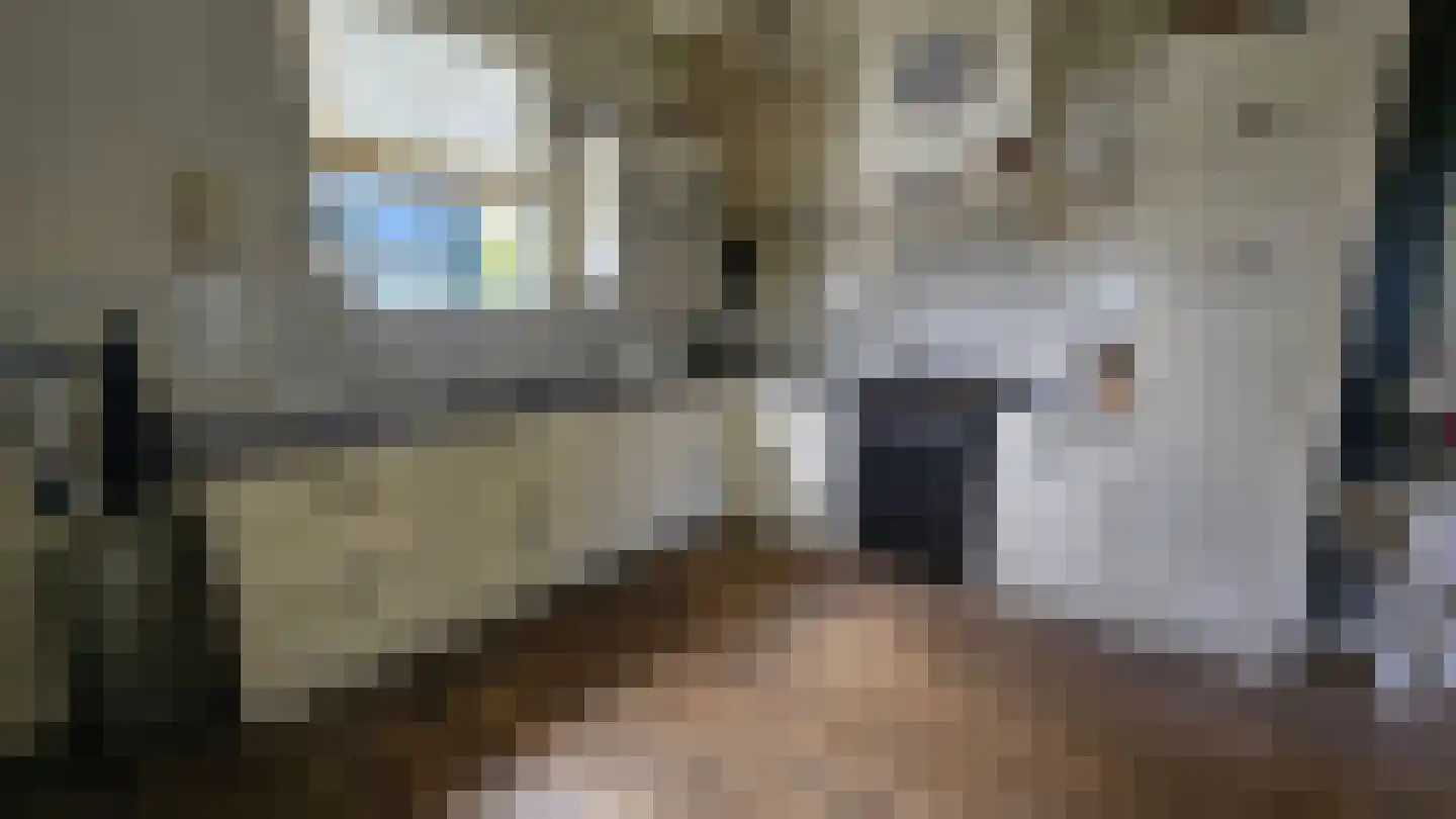 Zuideinde 190 Westzaan thumbnail 8
