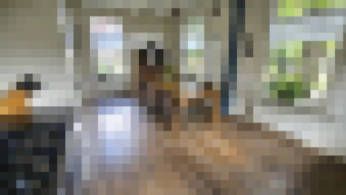 Zuideinde 190 Westzaan thumbnail 9