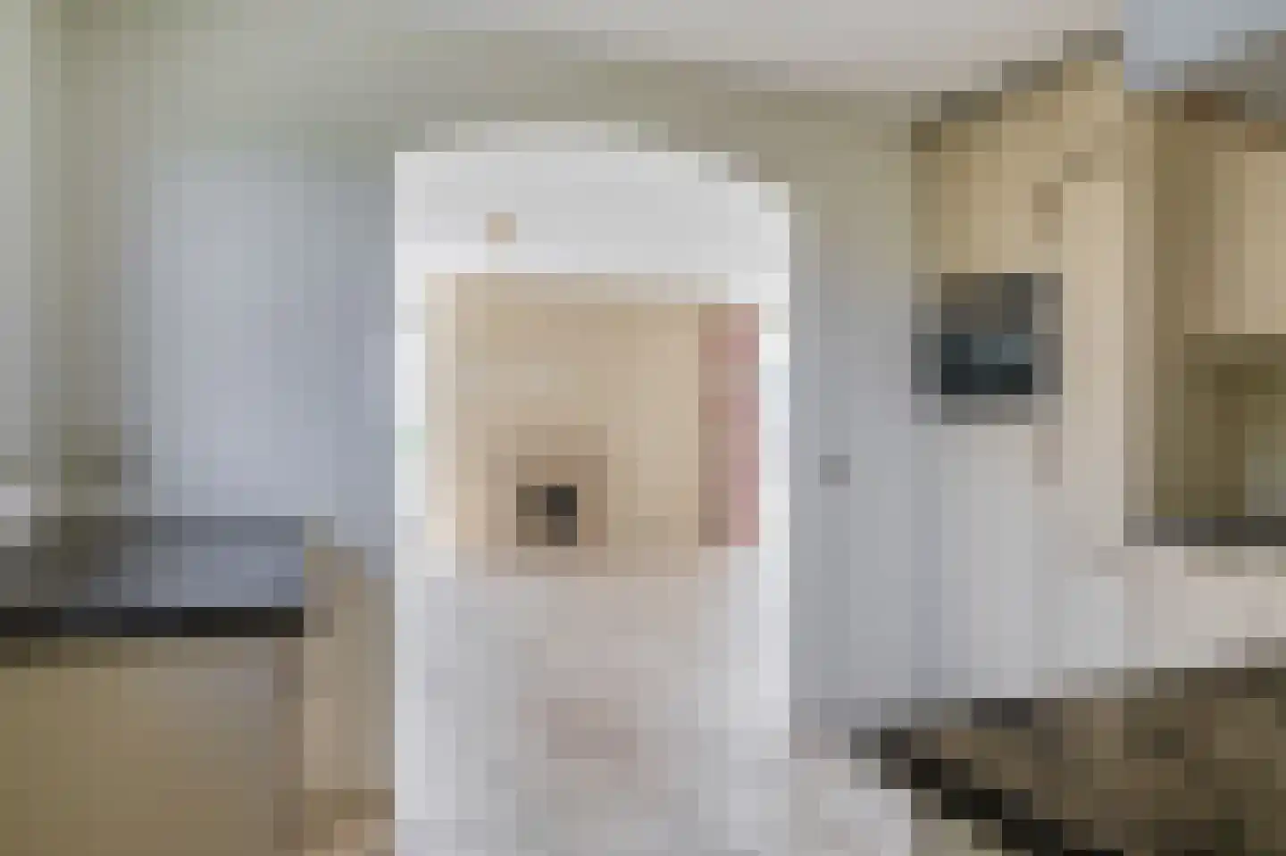 Zuideinde 2 Zevenhuizen thumbnail 13