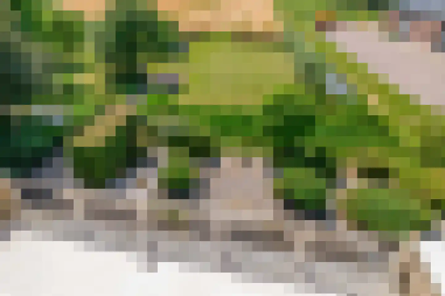 Zuideinde 2 Zevenhuizen thumbnail 24