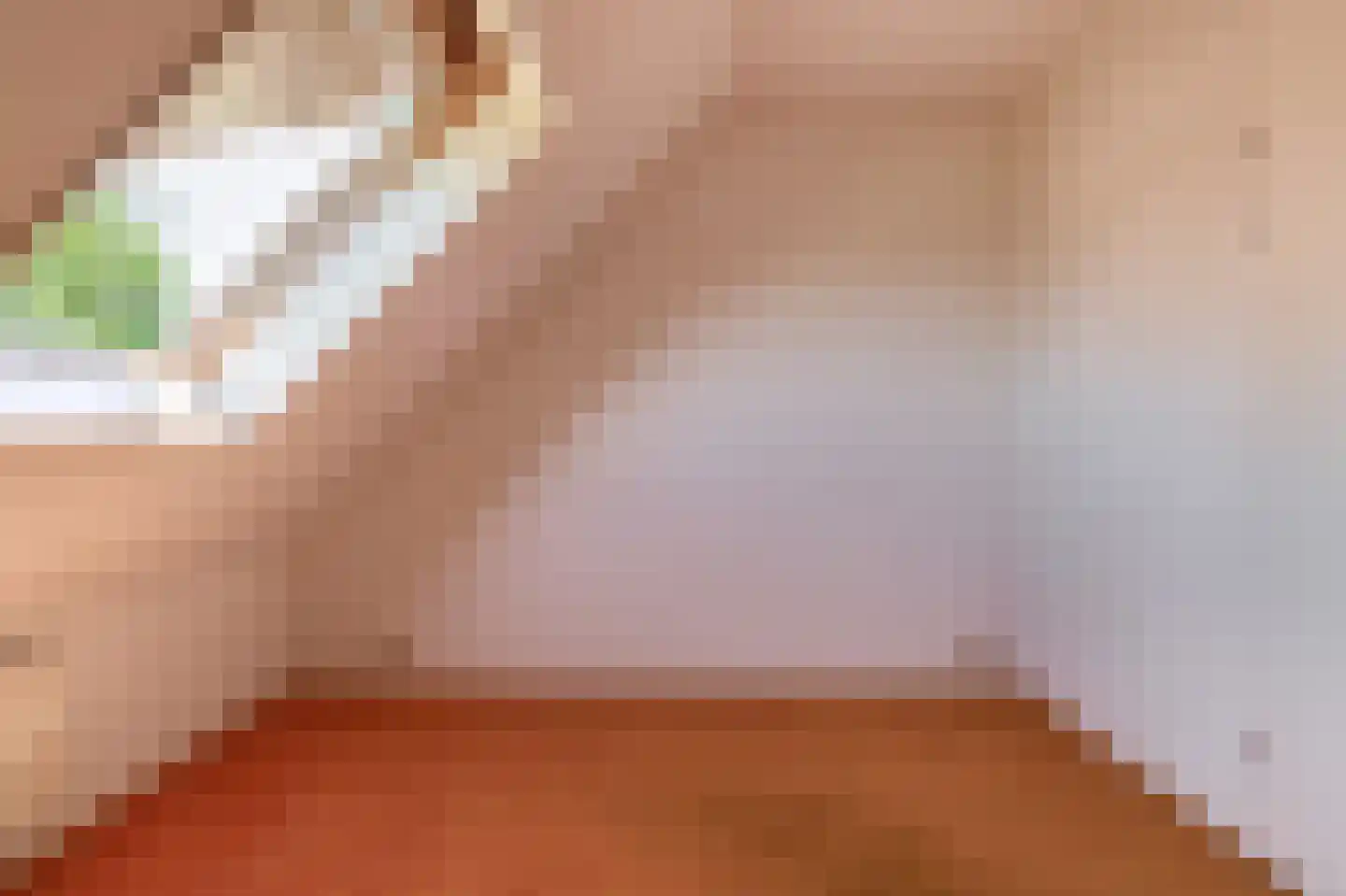 Zuideinde 2 Zevenhuizen thumbnail 26