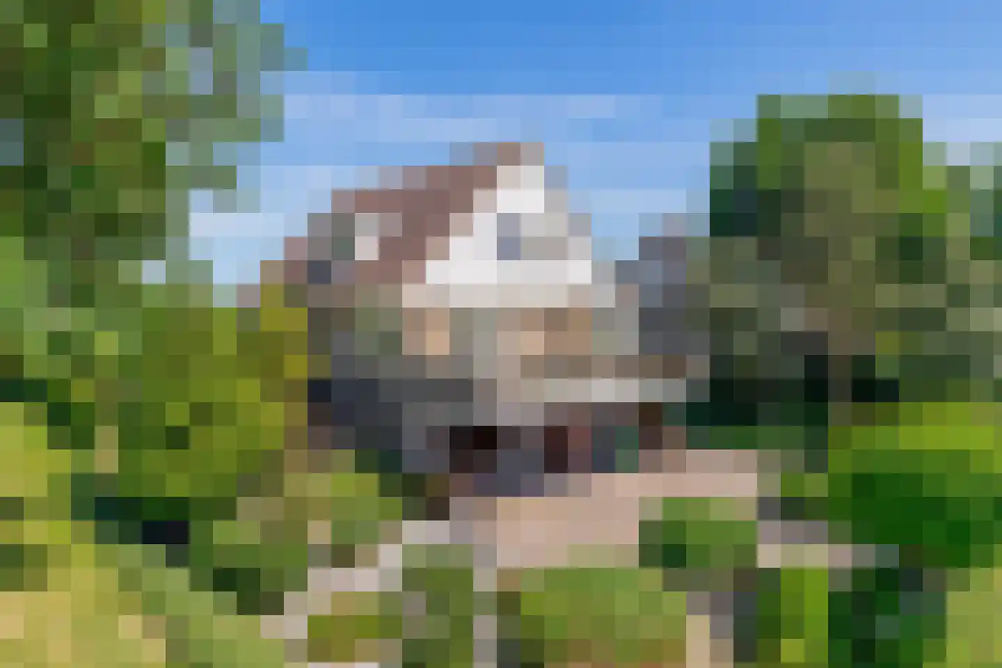Zuideinde 2 Zevenhuizen foto 3