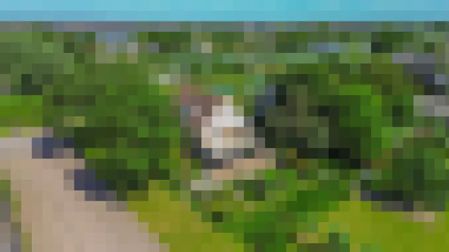 Zuideinde 2 Zevenhuizen thumbnail 41