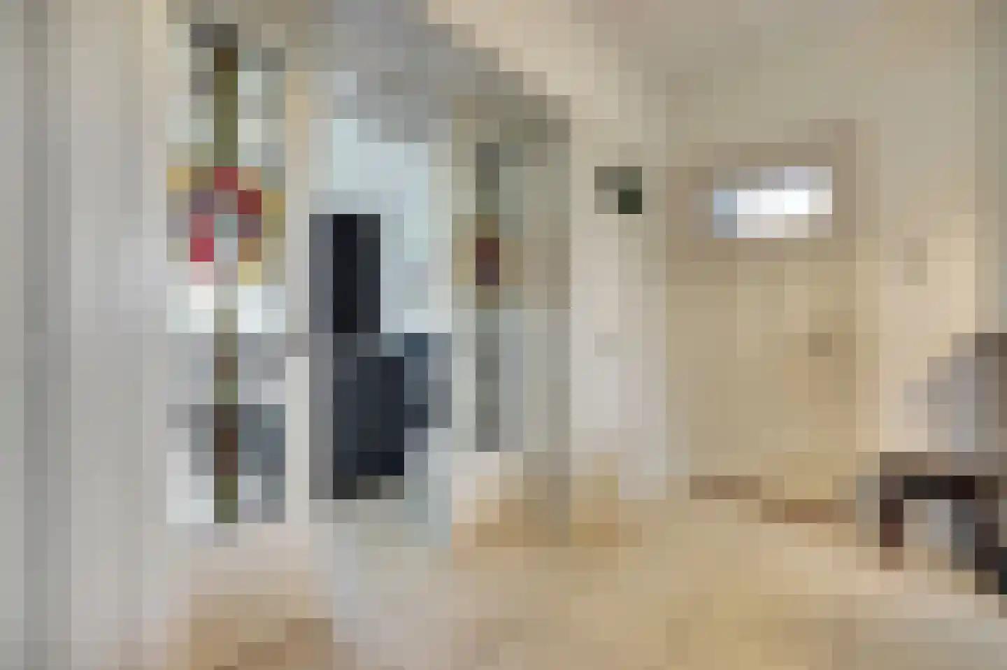 Zuideinde 20 A Aarlanderveen thumbnail 12