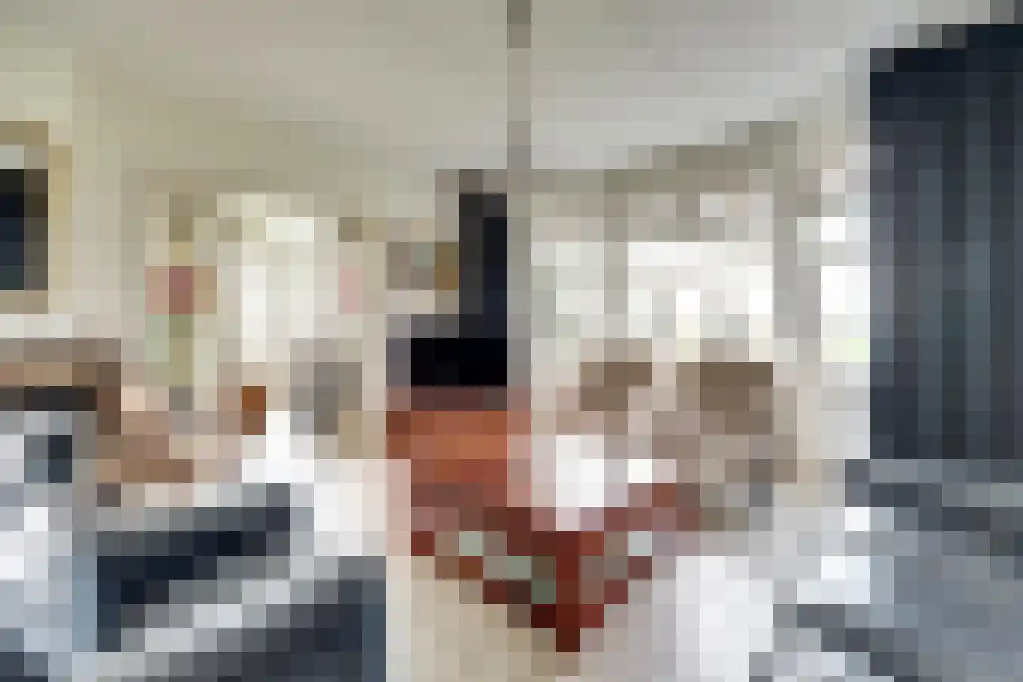 Zuideinde 20 A Aarlanderveen thumbnail 13