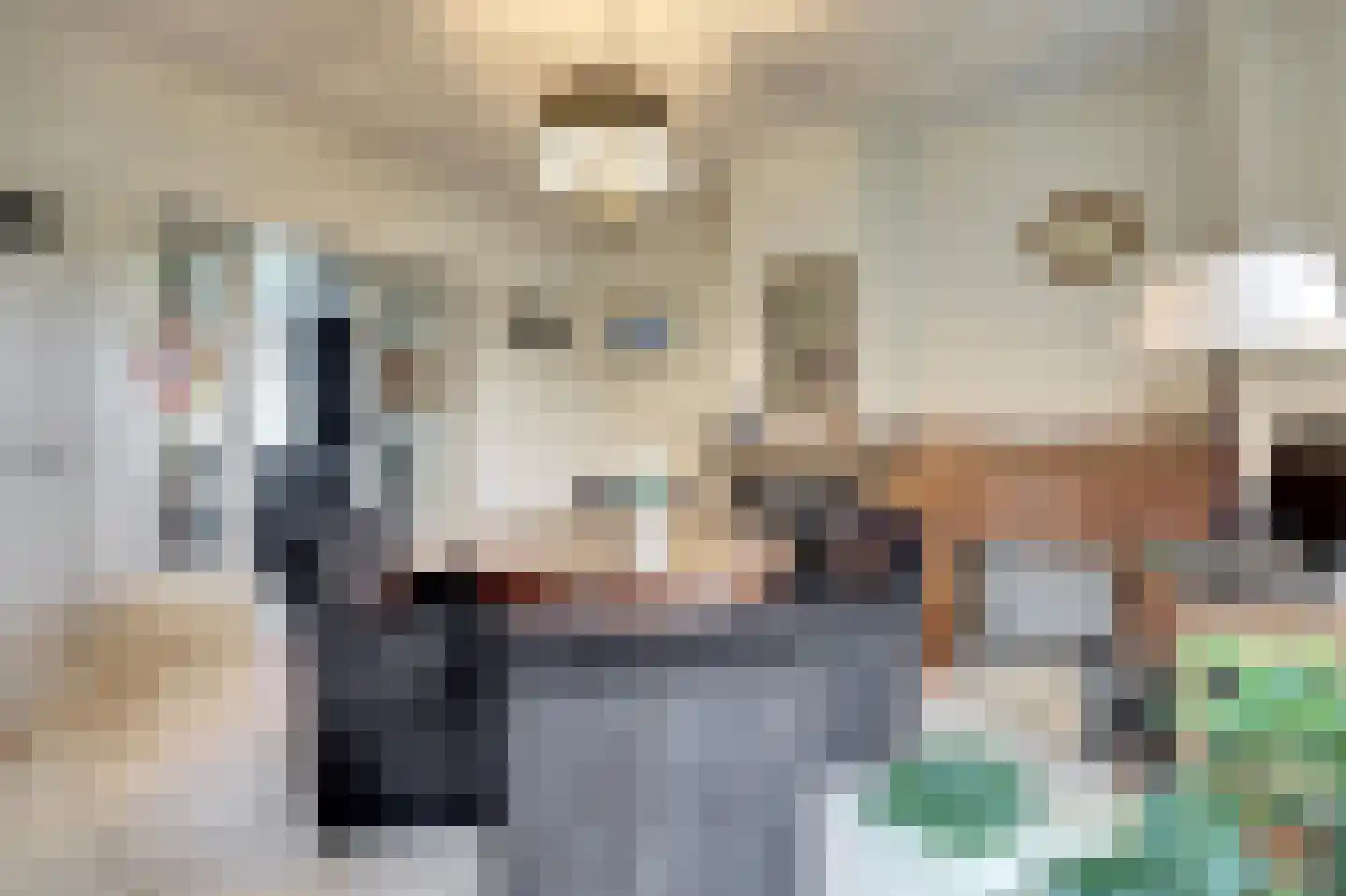 Zuideinde 20 A Aarlanderveen thumbnail 21