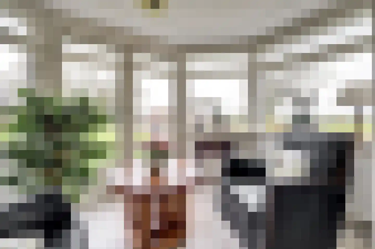 Zuideinde 20 A Aarlanderveen thumbnail 23