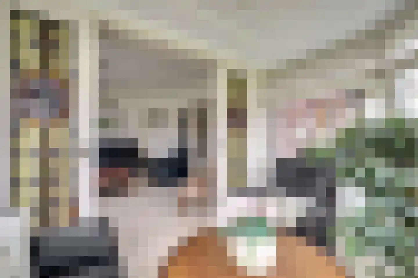 Zuideinde 20 A Aarlanderveen thumbnail 24