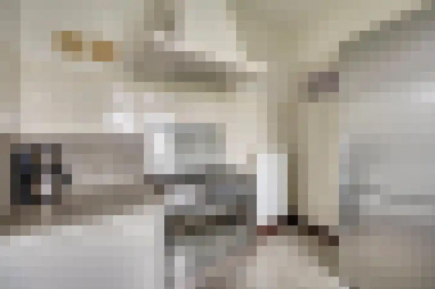 Zuideinde 20 A Aarlanderveen thumbnail 27