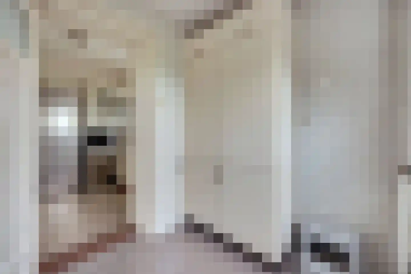 Zuideinde 20 A Aarlanderveen thumbnail 30