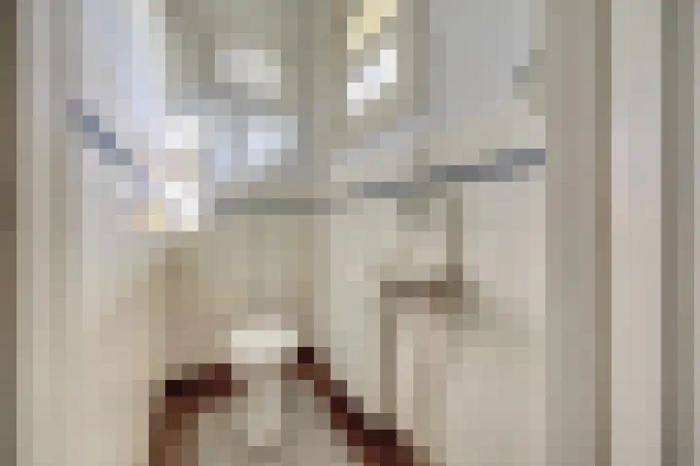 Zuideinde 20 A Aarlanderveen thumbnail 31