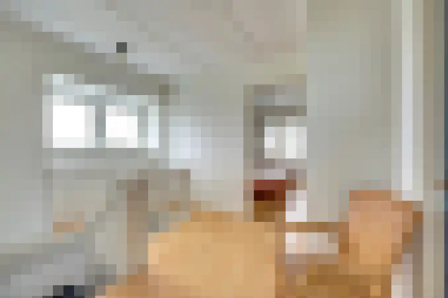 Zuideinde 20 A Aarlanderveen thumbnail 32