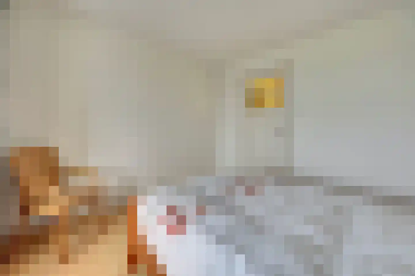 Zuideinde 20 A Aarlanderveen thumbnail 35