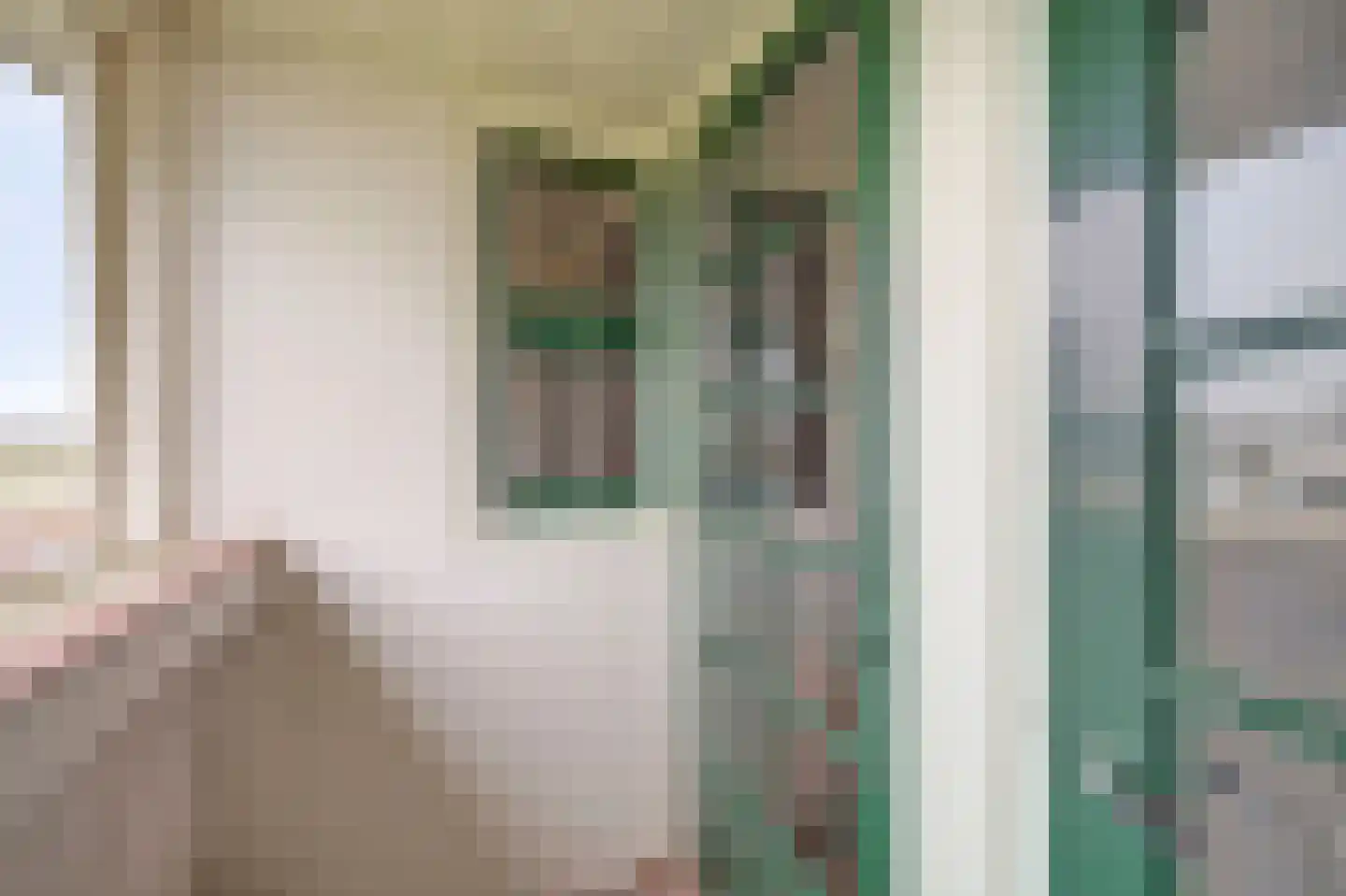 Zuideinde 20 A Aarlanderveen thumbnail 40