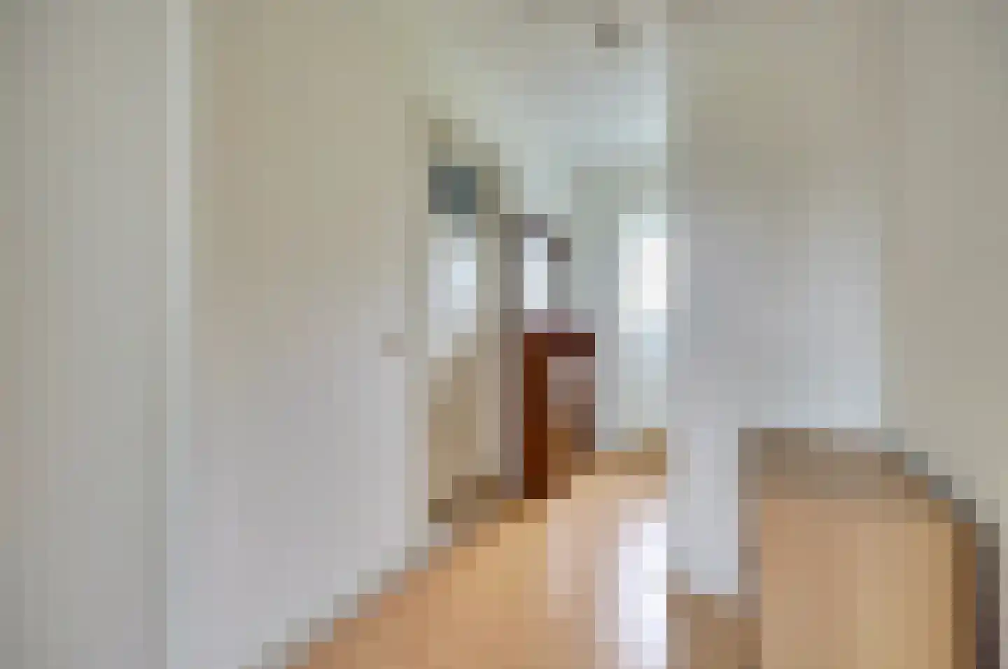 Zuideinde 20 A Aarlanderveen thumbnail 46