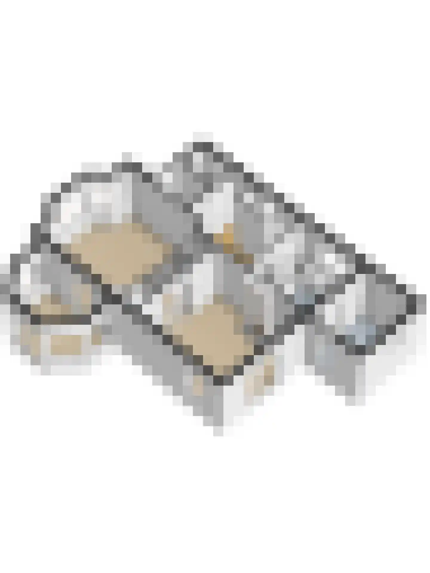 Zuideinde 20 A Aarlanderveen thumbnail 67