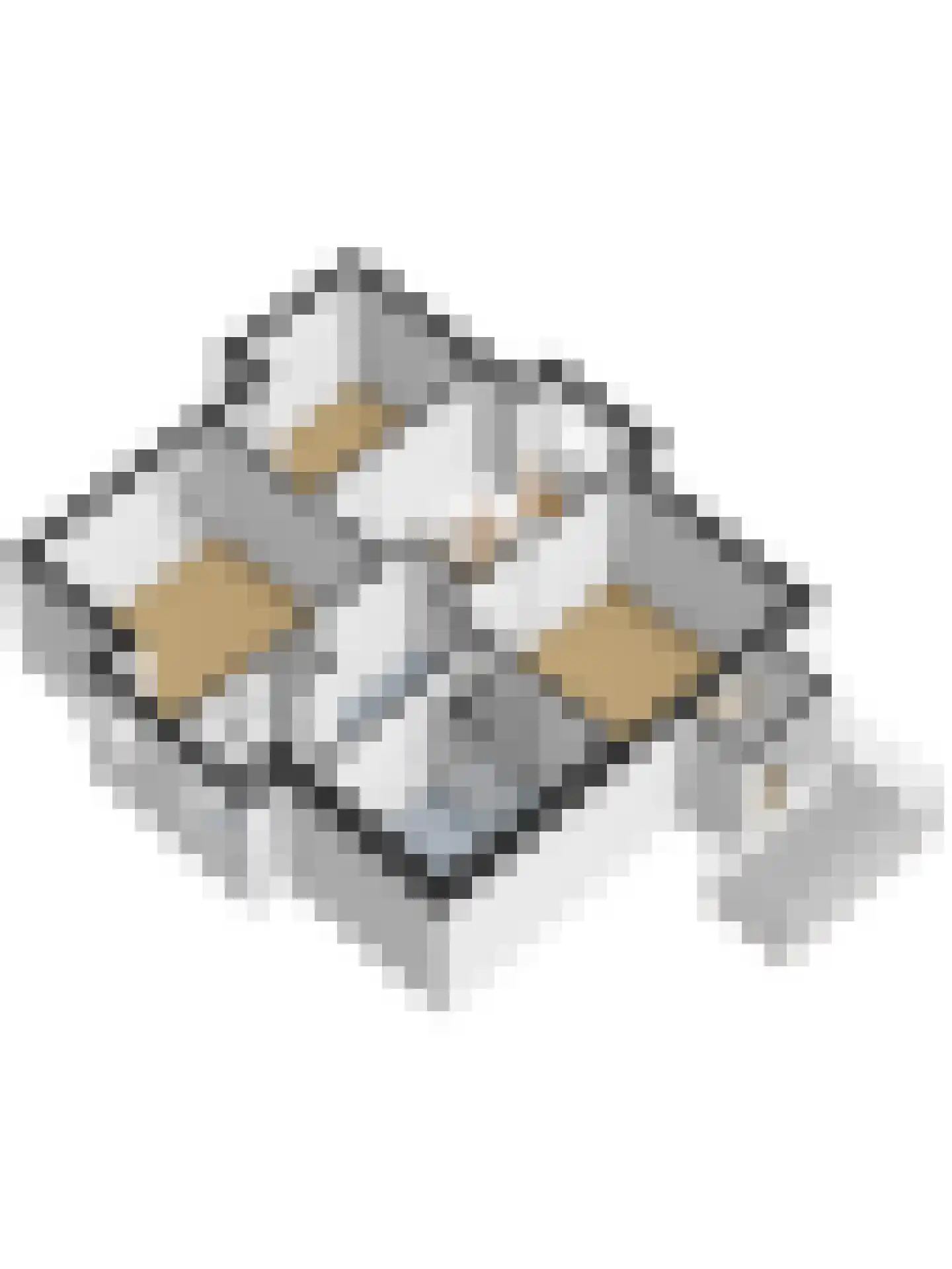 Zuideinde 20 A Aarlanderveen thumbnail 68