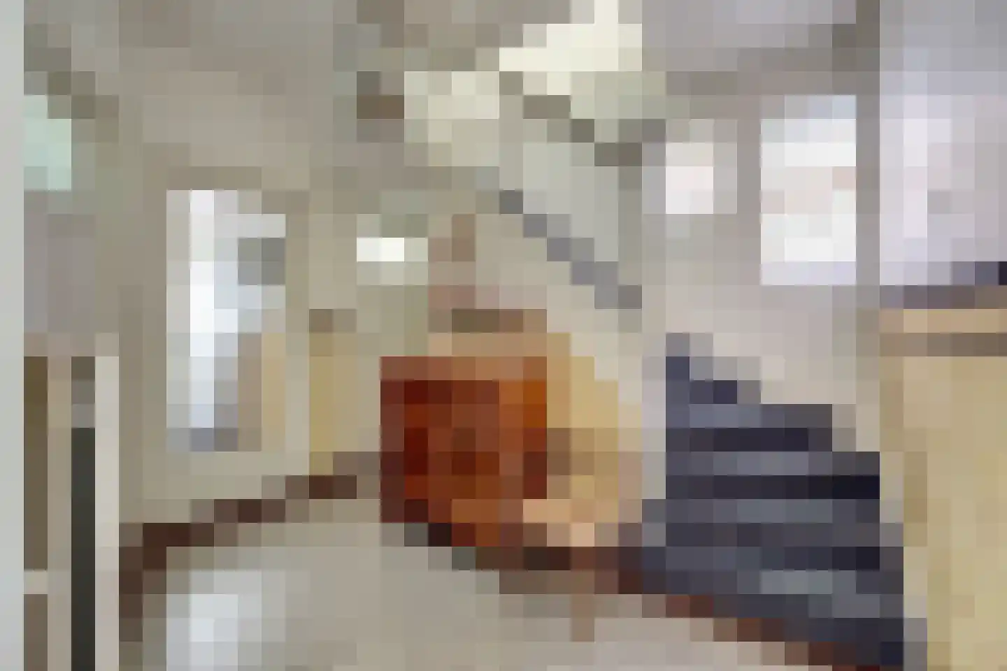 Zuideinde 20 A Aarlanderveen thumbnail 9