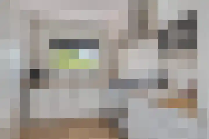 Zuideinde 20 Dinteloord thumbnail 11