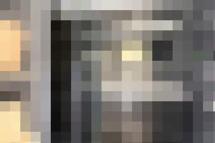 Zuideinde 20 Dinteloord thumbnail 16