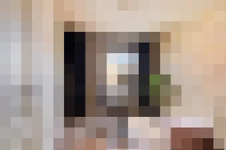 Zuideinde 20 Dinteloord thumbnail 20