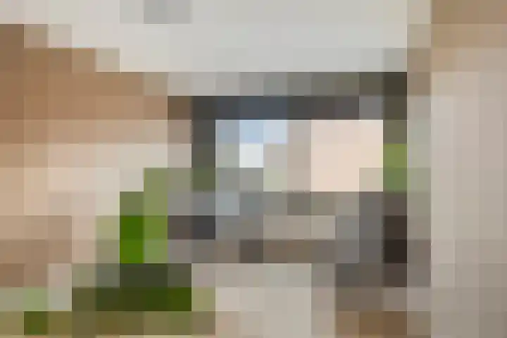 Zuideinde 20 Dinteloord thumbnail 22