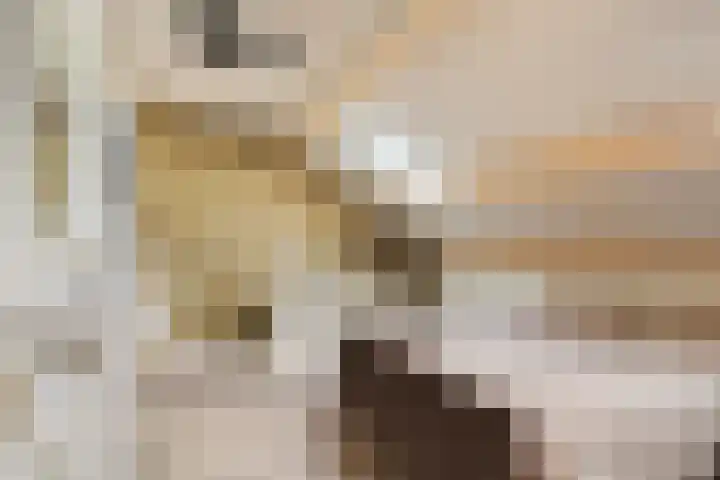 Zuideinde 20 Dinteloord thumbnail 25