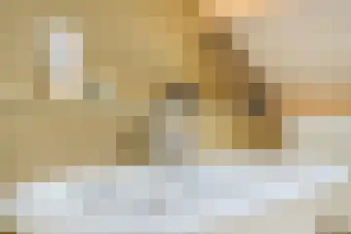 Zuideinde 20 Dinteloord thumbnail 27