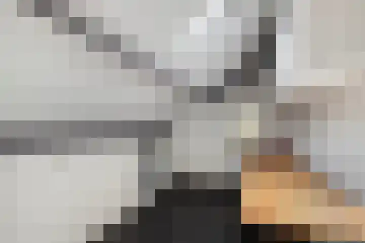 Zuideinde 20 Dinteloord thumbnail 28