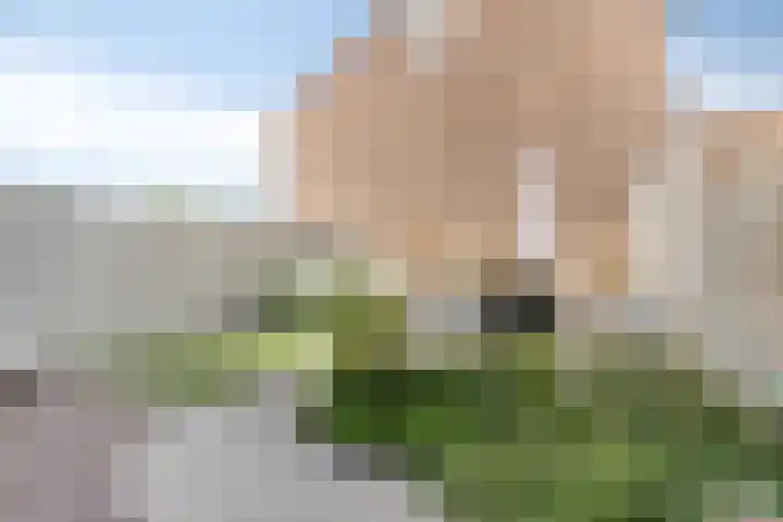 Zuideinde 20 Dinteloord thumbnail 29