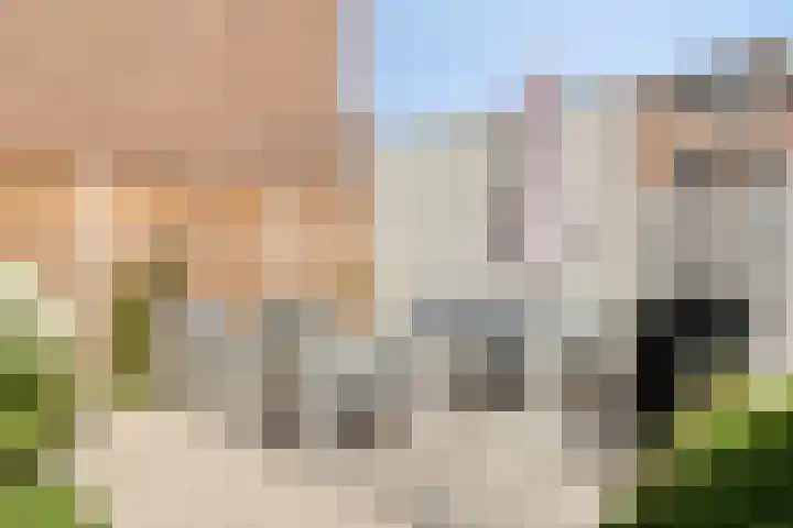 Zuideinde 20 Dinteloord thumbnail 31