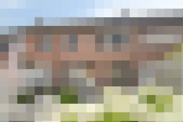 Zuideinde 20 Dinteloord thumbnail 32