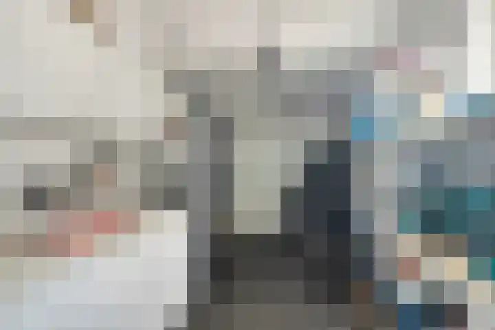 Zuideinde 20 Dinteloord thumbnail 33
