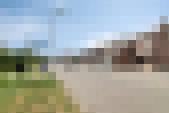 Zuideinde 20 Dinteloord thumbnail 34