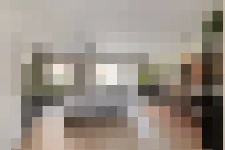 Zuideinde 20 Dinteloord thumbnail 4