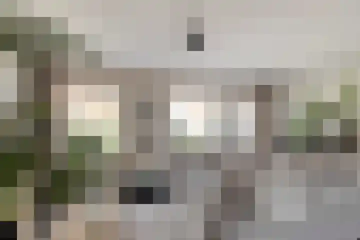 Zuideinde 20 Dinteloord thumbnail 5