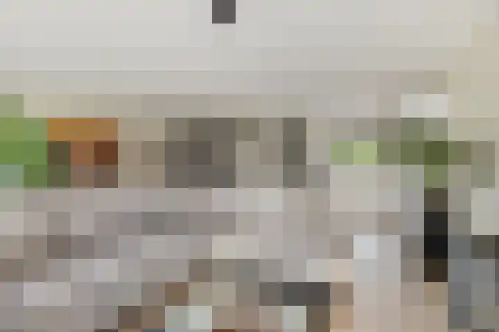 Zuideinde 20 Dinteloord thumbnail 7