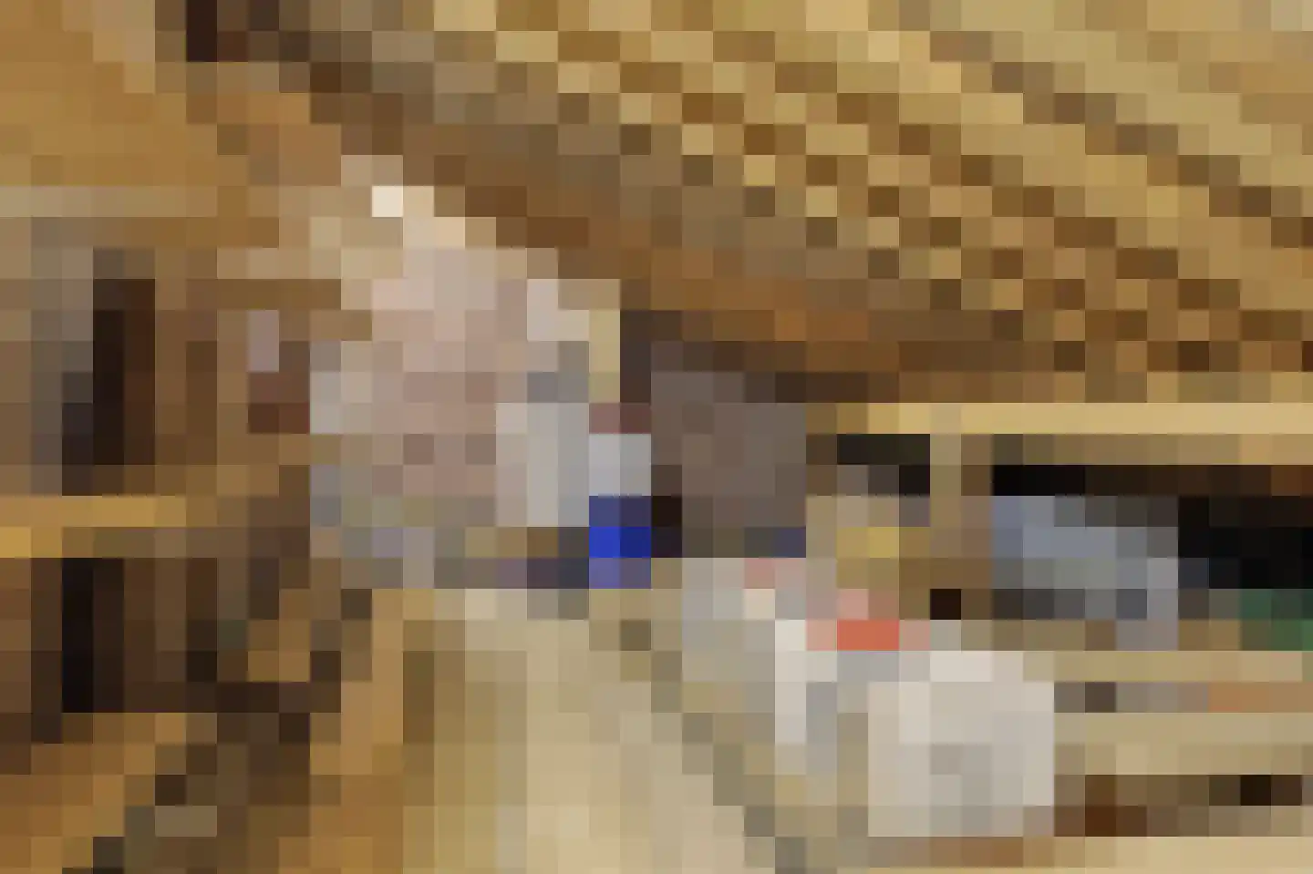 Zuideinde 20 Monnickendam thumbnail 17