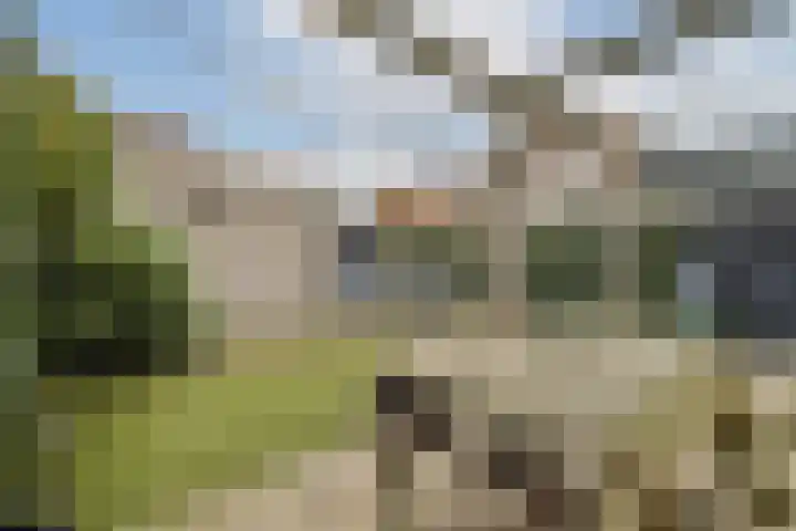 Zuideinde 21 Koog aan de Zaan thumbnail 10