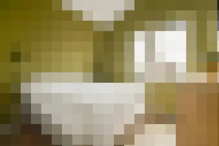Zuideinde 21 Koog aan de Zaan thumbnail 14