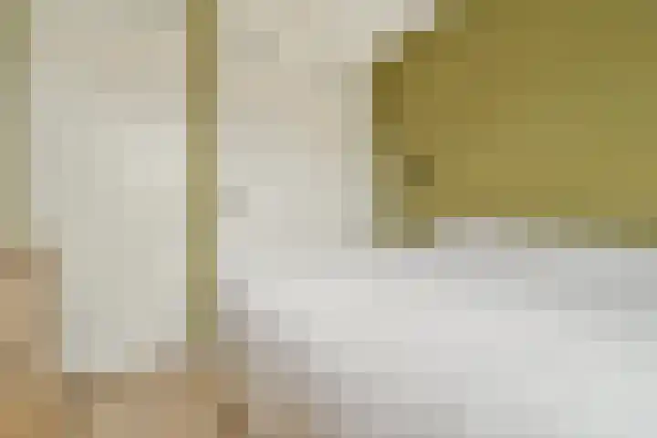Zuideinde 21 Koog aan de Zaan thumbnail 15