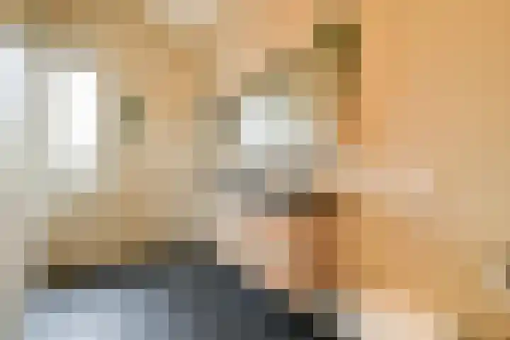 Zuideinde 21 Koog aan de Zaan thumbnail 20