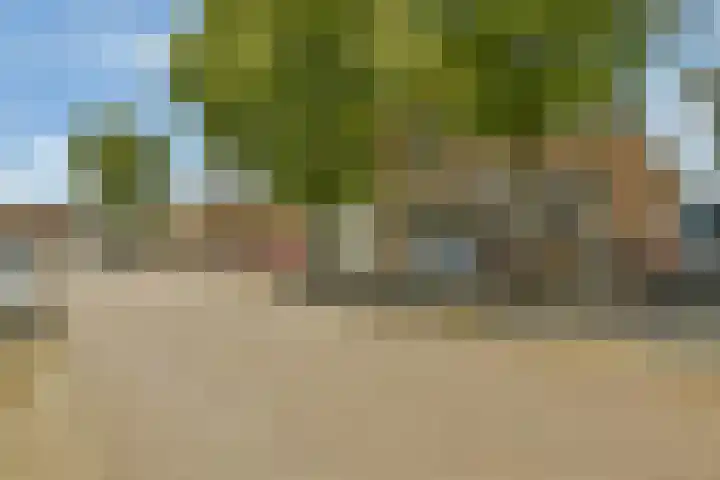 Zuideinde 21 Koog aan de Zaan thumbnail 23