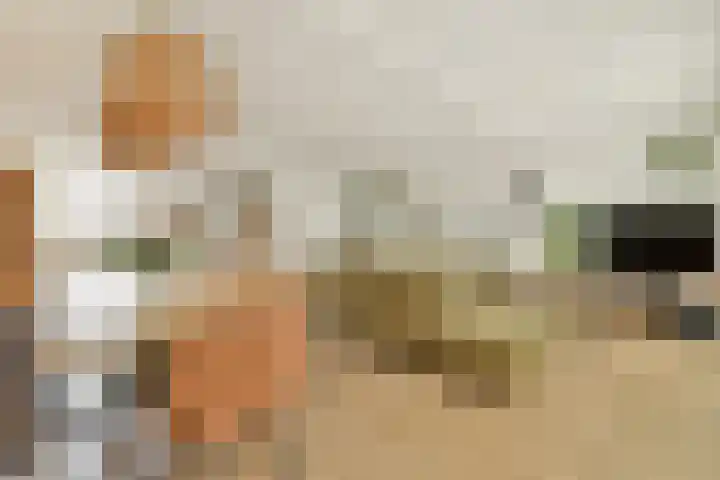 Zuideinde 21 Koog aan de Zaan thumbnail 5