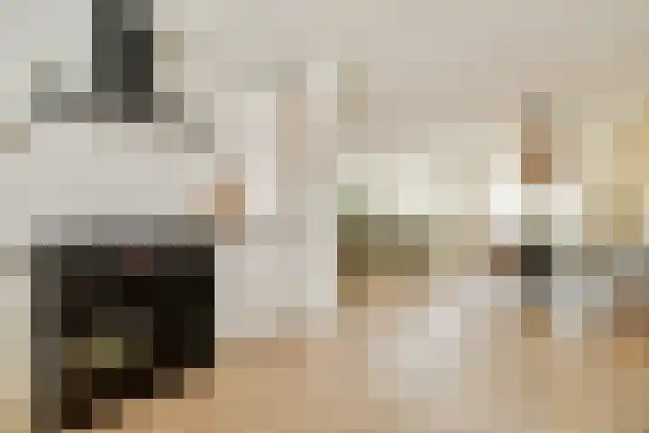 Zuideinde 21 Koog aan de Zaan thumbnail 6