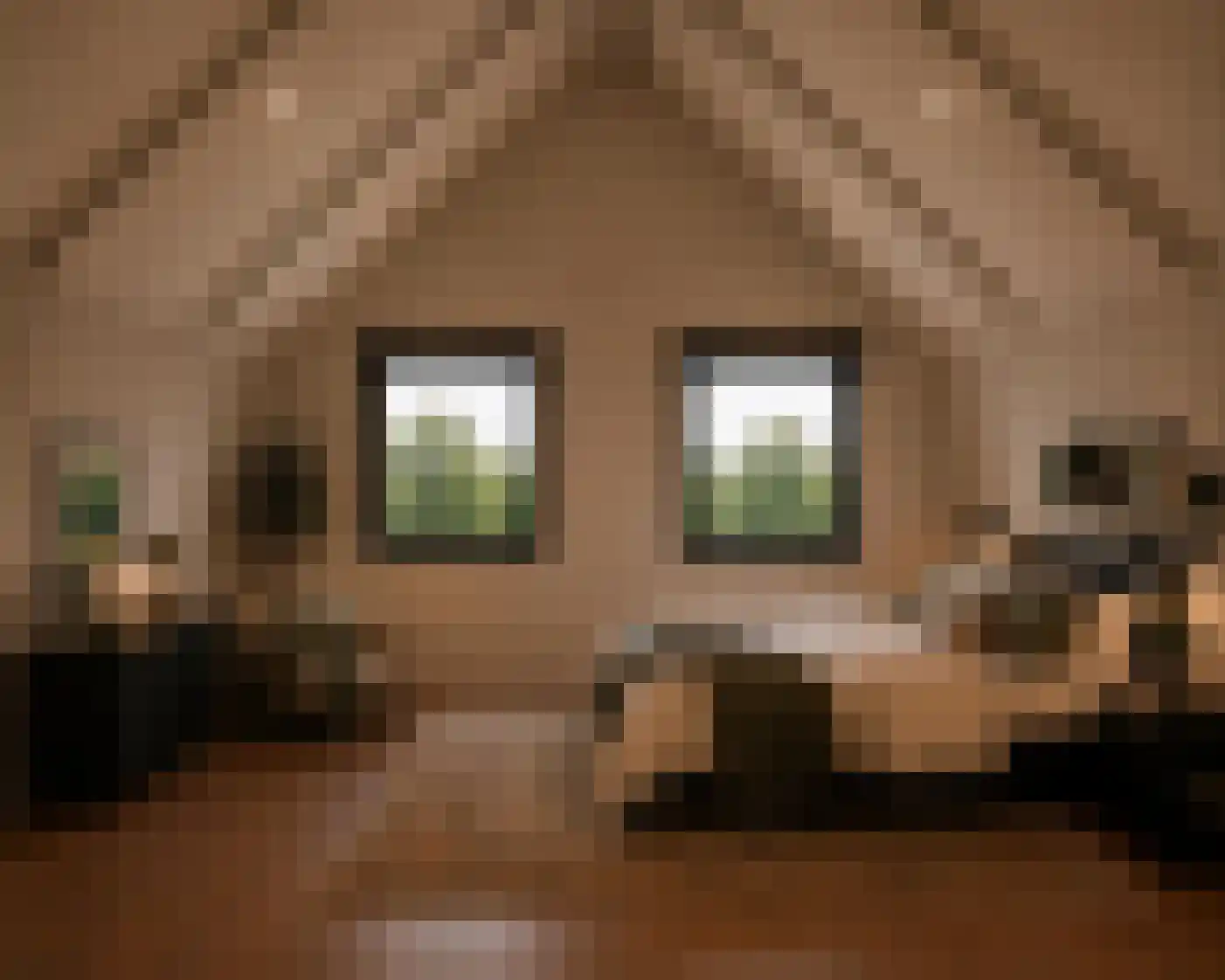 Zuideinde 214 A Oostzaan thumbnail 12