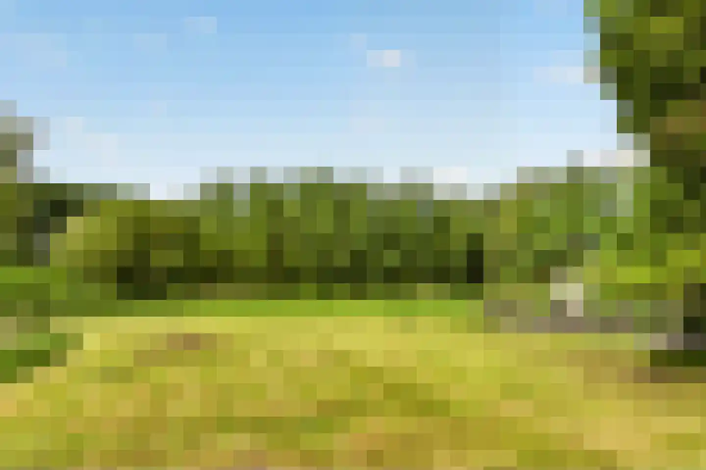 Zuideinde 214 A Oostzaan thumbnail 4