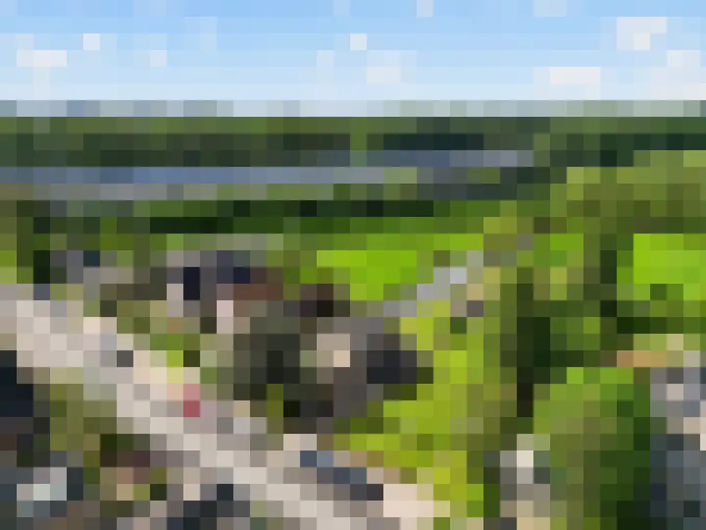 Zuideinde 214 A Oostzaan thumbnail 8